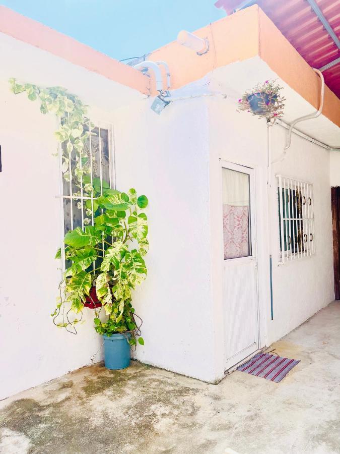 Alojamiento En La Calle 56 Playa Del Carmen Extérieur photo